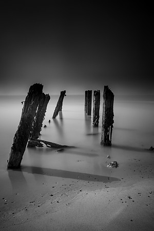1Y3A9176-Edit