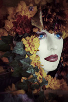 Portraiture