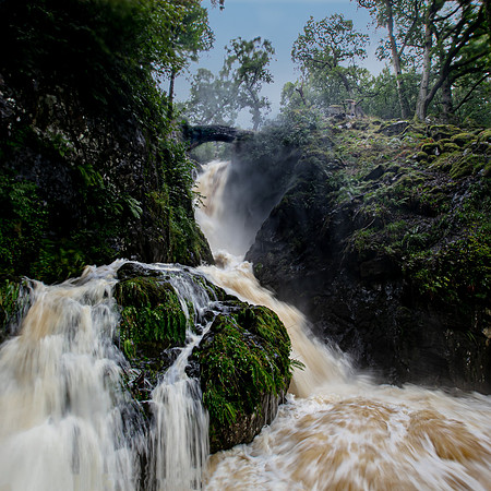 1Y3A8260-Edit-Edit