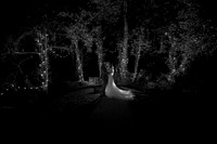 1Y3A1349-Edit